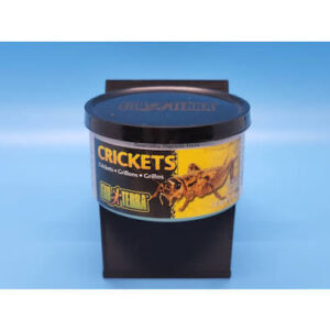Exo Terra Crickets