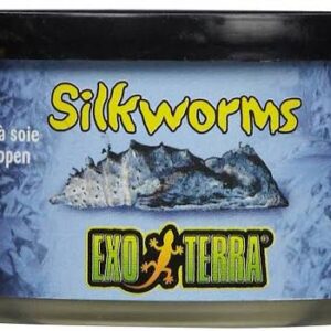  Exo Terra Silkworms (Pupae) For Sale